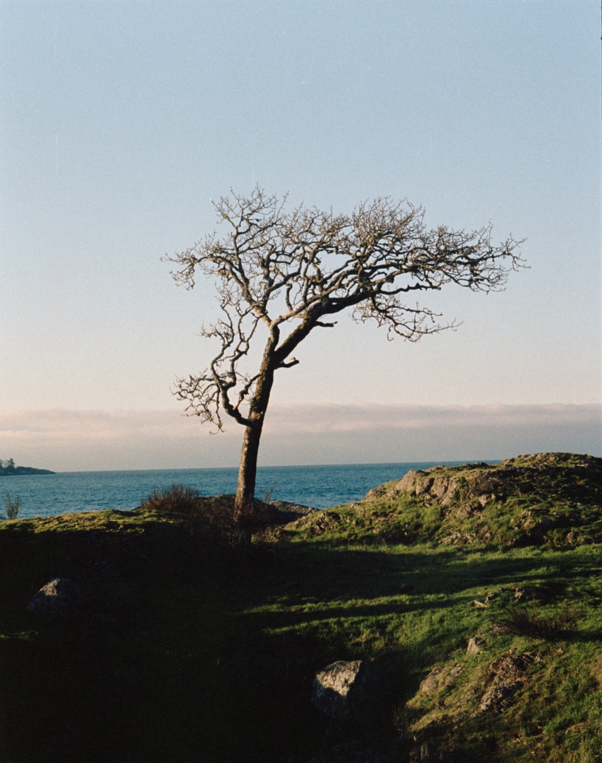 Portrait on film with natural skin tones after conversion in EmberFilm