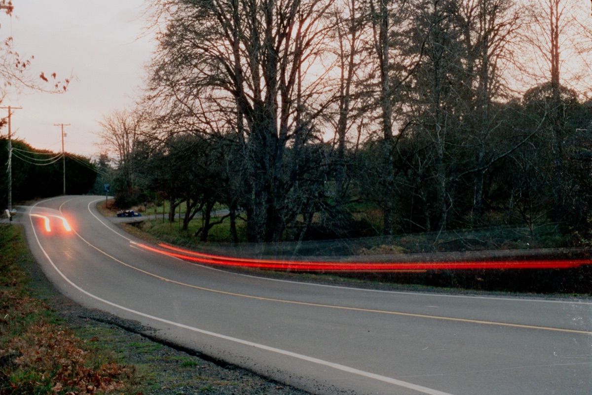 Film scan of a landscape, converted and colour graded in EmberFilm
